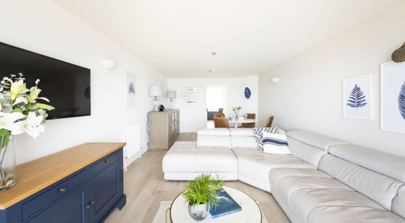 Photo of Seagulls Soar