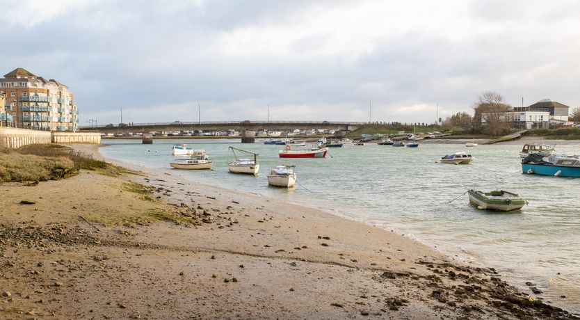 Photo of Chalkhill Blue