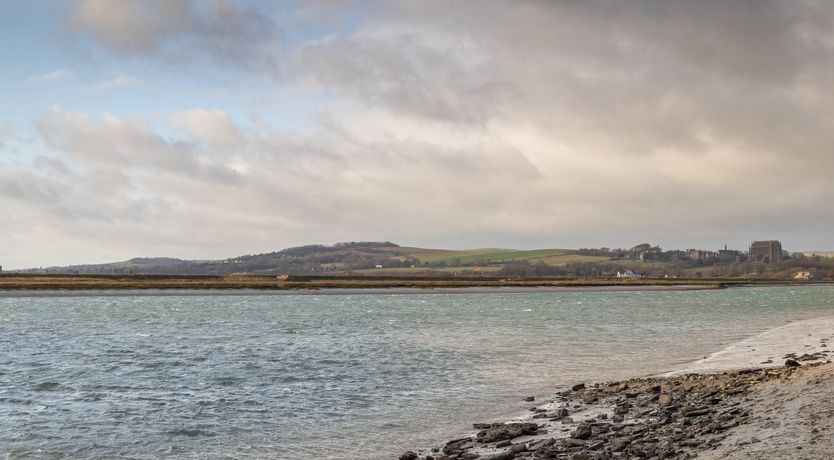 Photo of Chalkhill Blue