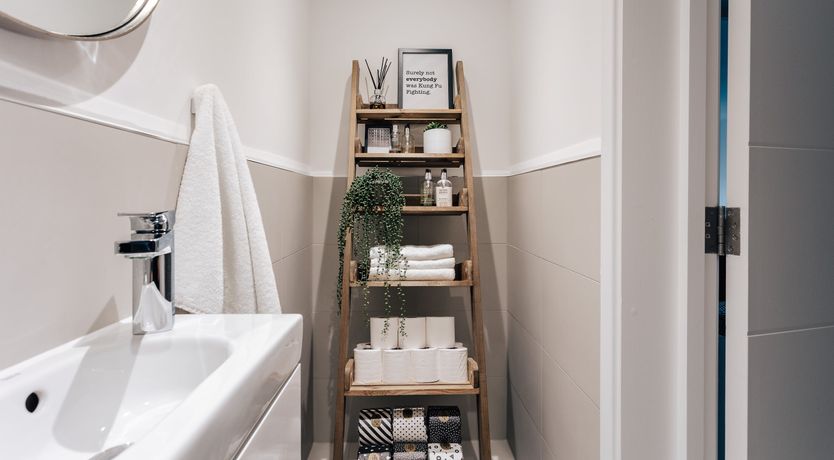 Photo of Chalkhill Blue