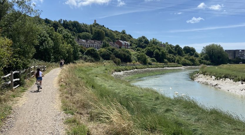 Photo of Chalkhill Blue