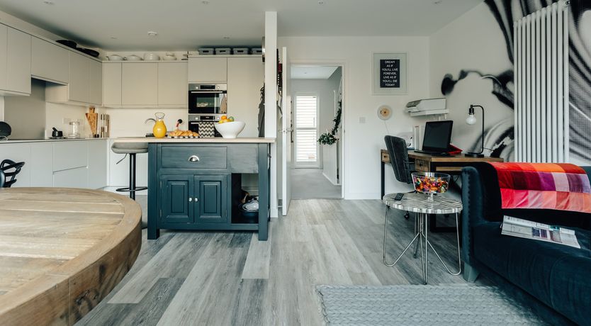 Photo of Chalkhill Blue