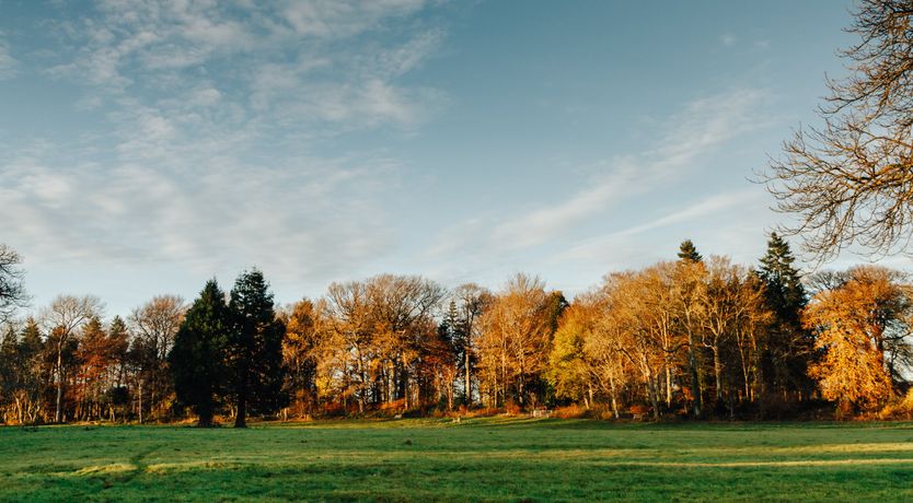 Photo of Squeaky Clean