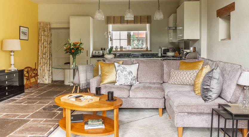 Photo of Squeaky Clean