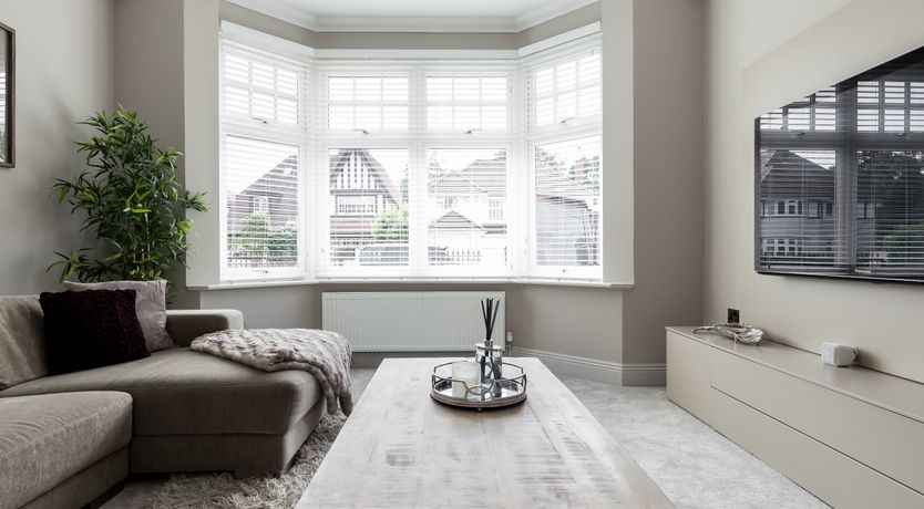 Photo of The Shearwater