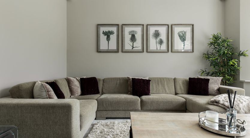 Photo of The Shearwater