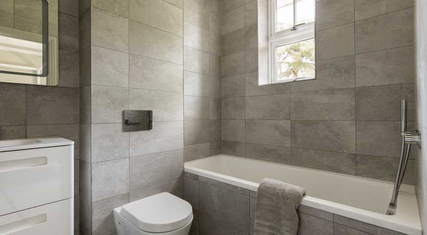 Photo of The Shearwater