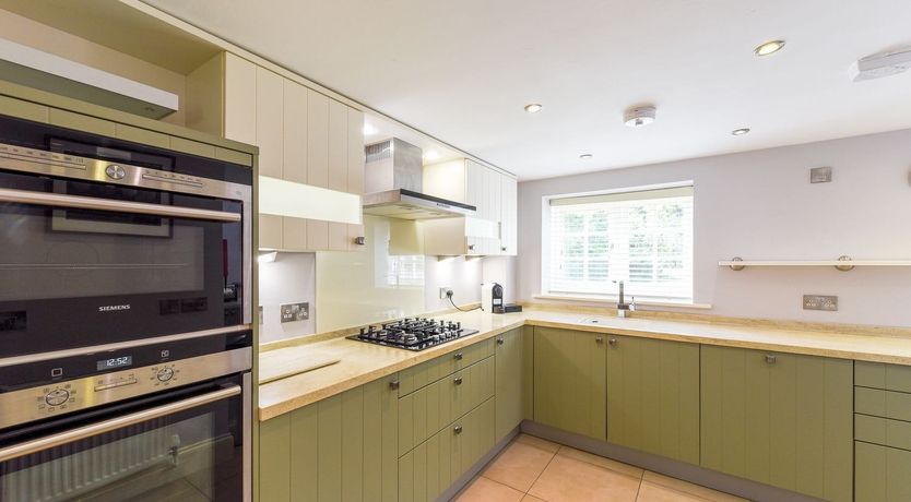 Photo of Off the Vine