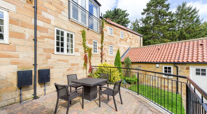 Photo of Off the Vine