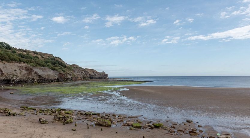 Photo of Off the Vine