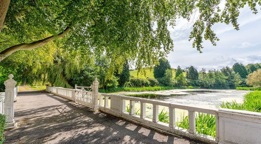 Photo of Off the Vine