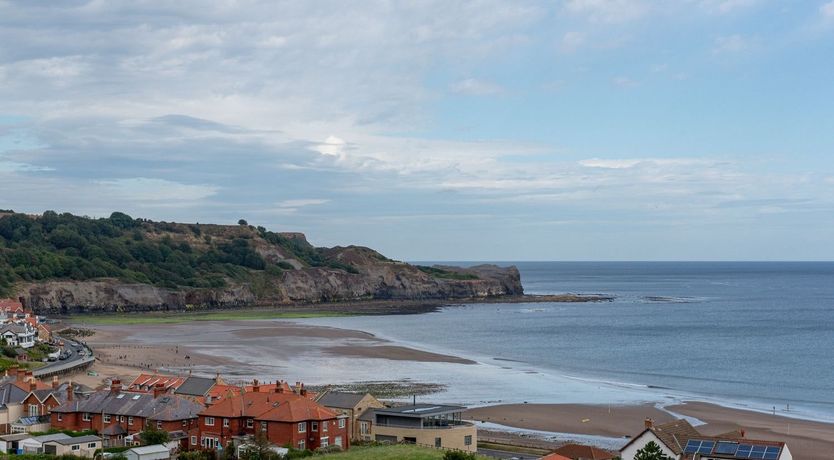 Photo of Off the Vine