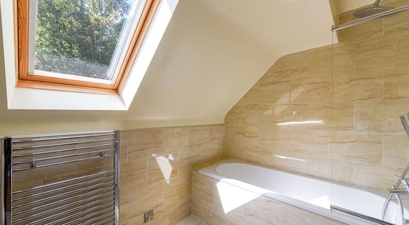 Photo of Off the Vine