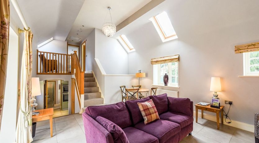 Photo of Off the Vine