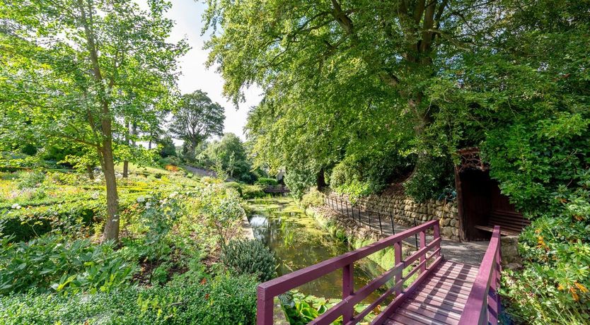 Photo of Off the Vine