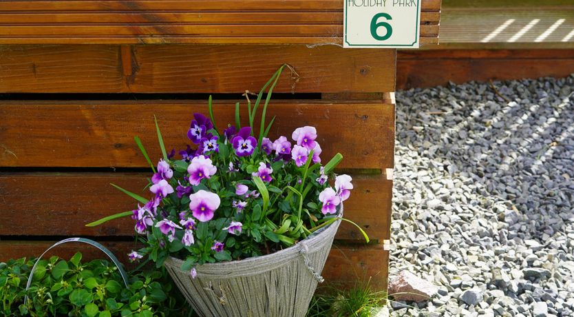 Photo of Roe Deer Lodge