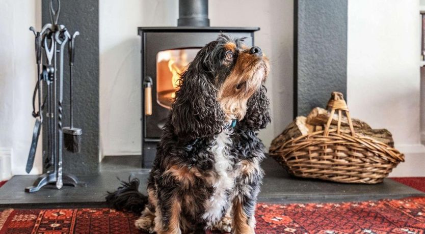 Photo of 7 Bed in Ambleside