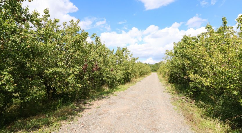 Photo of The Apple Shed