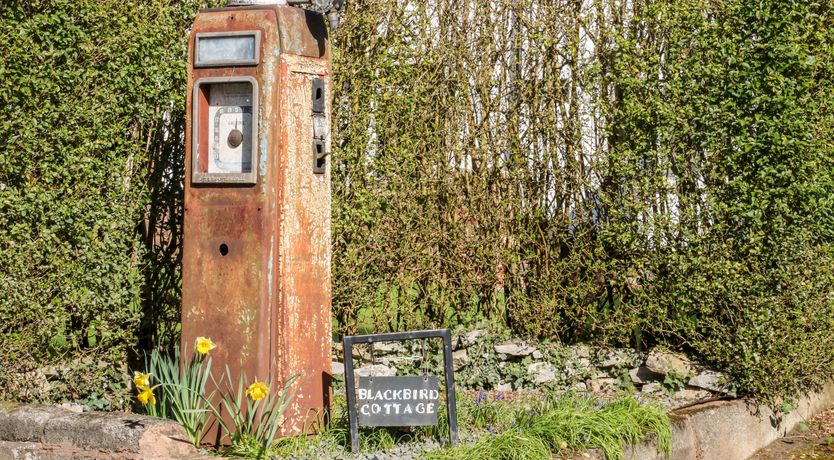 Photo of Blackbird Cottage