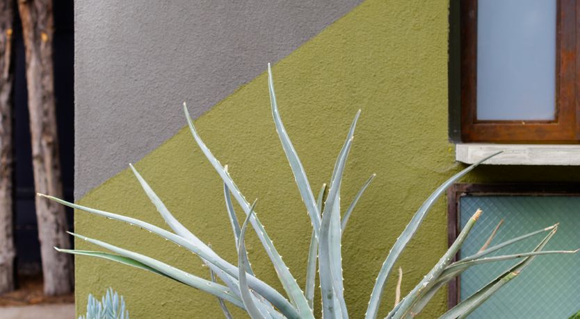 Photo of Curio Ladera