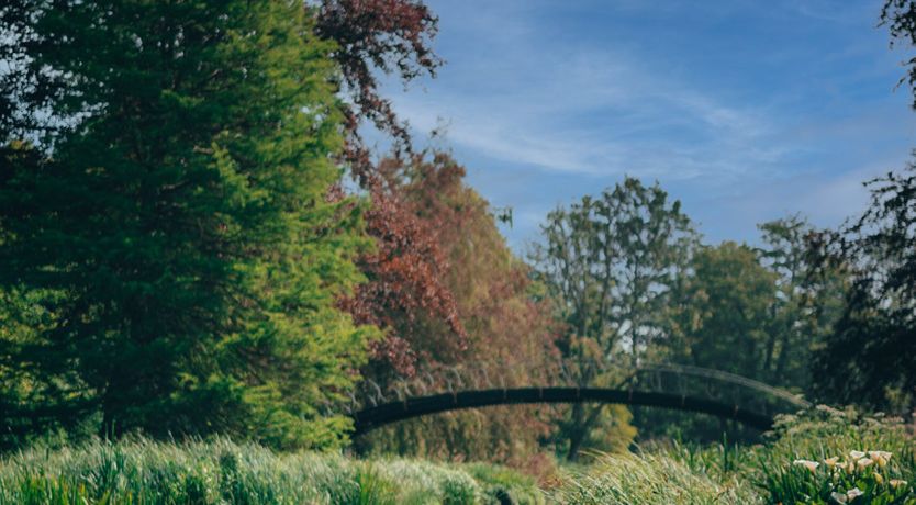 Photo of Royal Rumble