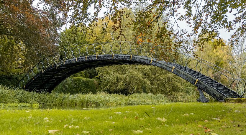 Photo of Royal Rumble