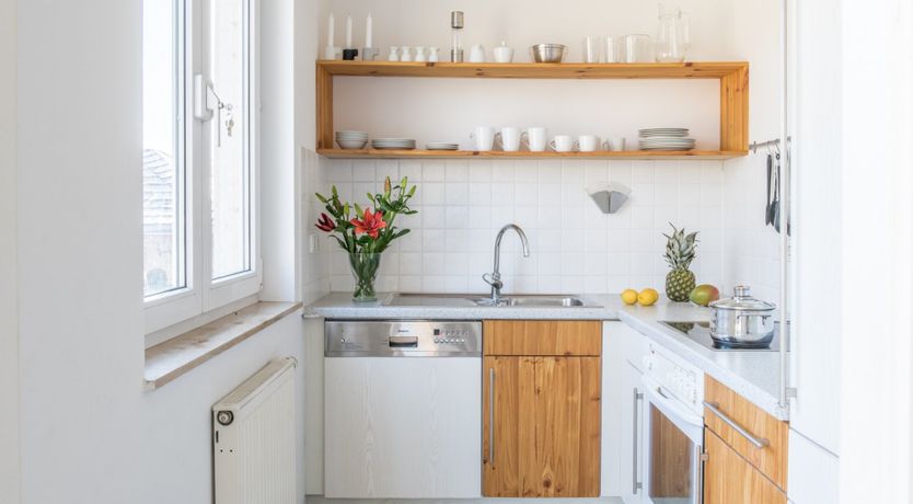 Photo of In Palms We Trust