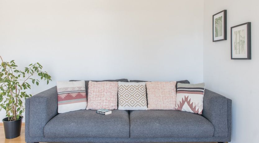 Photo of In Palms We Trust