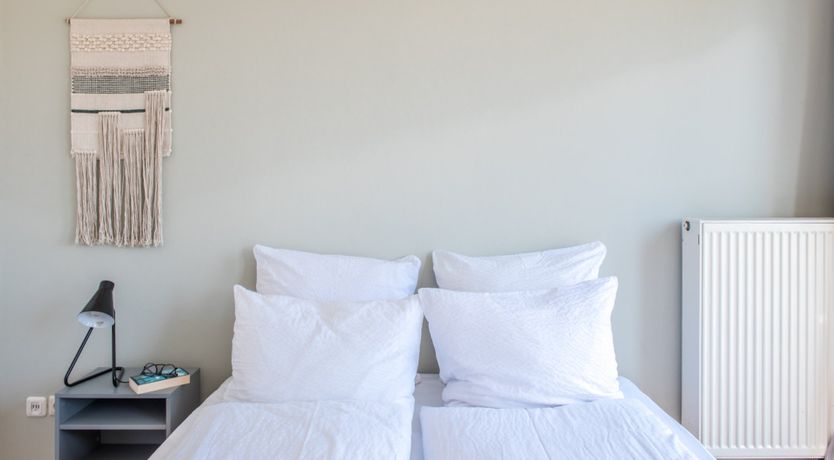 Photo of In Palms We Trust