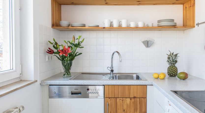 Photo of In Palms We Trust