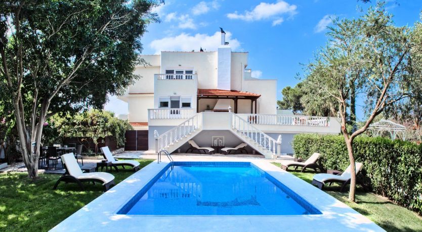 Photo of Paradise In The Trees