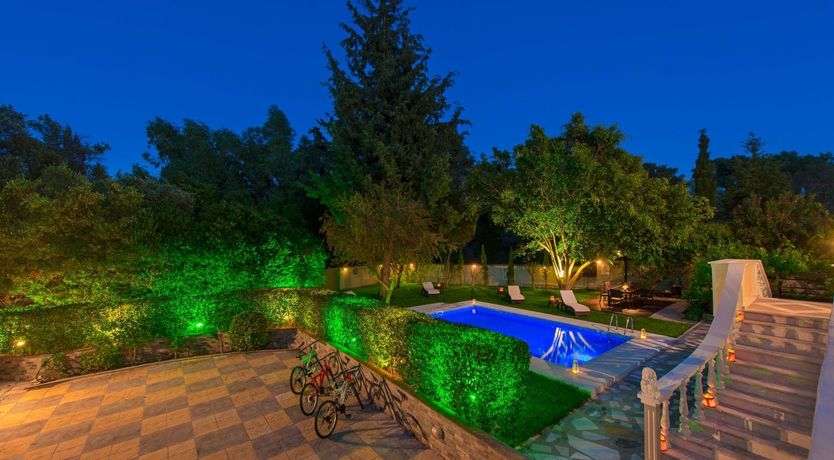 Photo of Paradise In The Trees