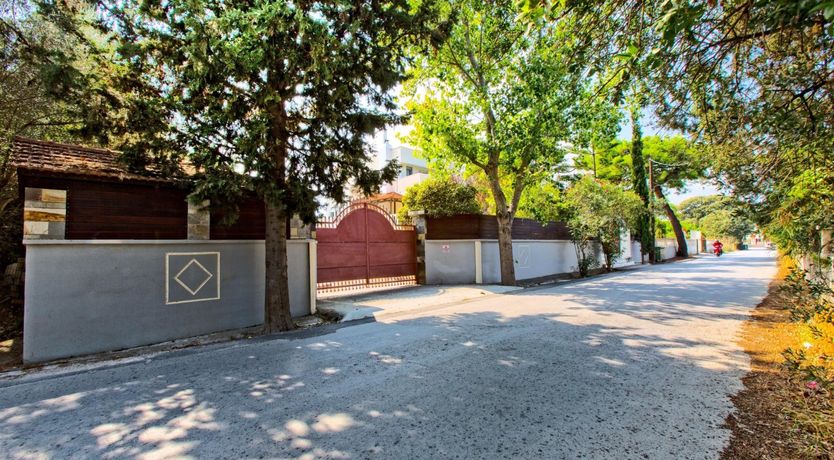 Photo of Paradise In The Trees