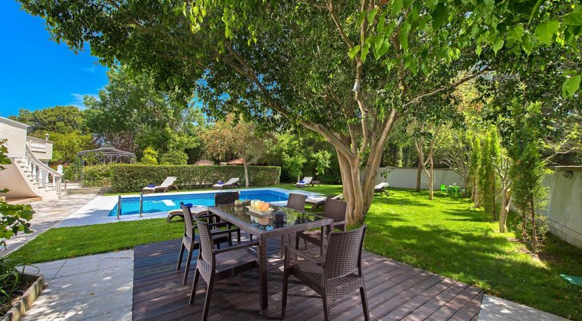 Photo of Paradise In The Trees