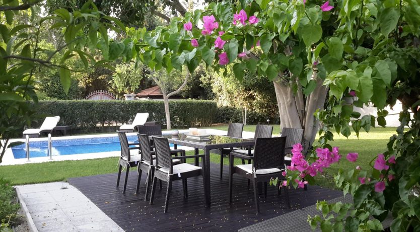 Photo of Paradise In The Trees