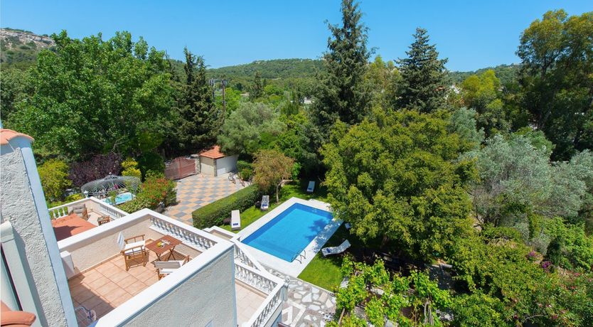 Photo of Paradise In The Trees