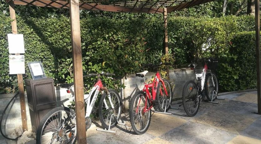 Photo of Paradise In The Trees