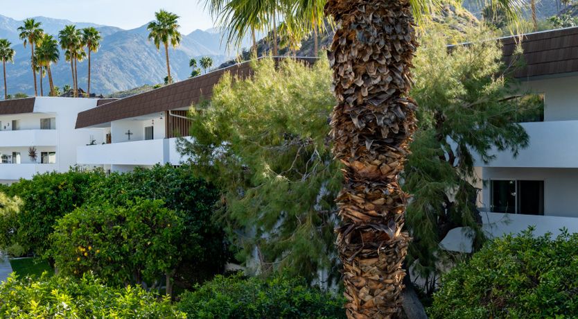 Photo of They Call Me Mellow Yellow