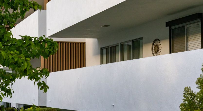 Photo of They Call Me Mellow Yellow