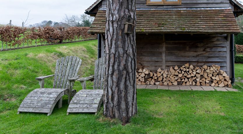 Photo of What a Day for a Daydream