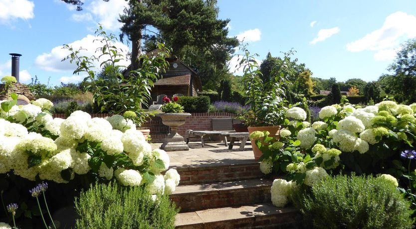 Photo of What a Day for a Daydream