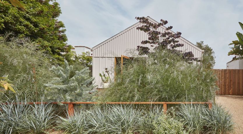 Photo of Sweet Like Cotton Candy