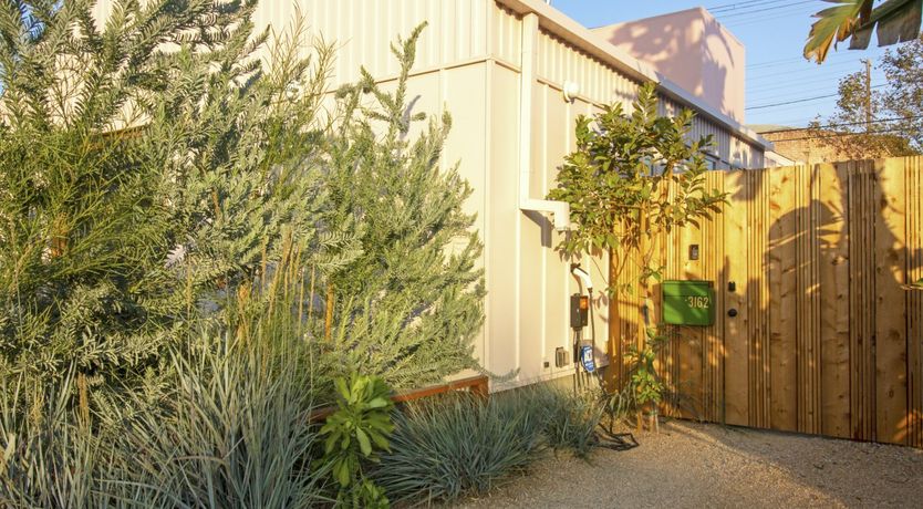 Photo of Sweet Like Cotton Candy