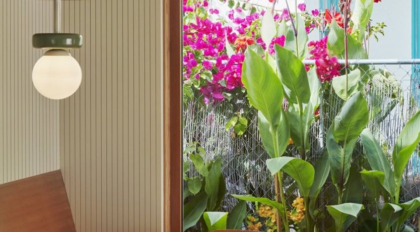 Photo of Sweet Like Cotton Candy