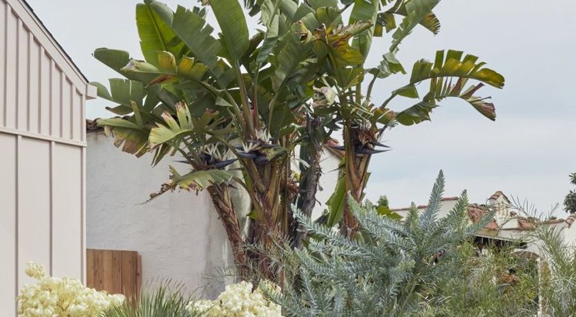 Photo of Sweet Like Cotton Candy