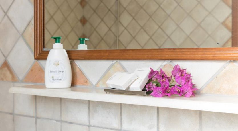 Photo of Sanctuary in the Sun