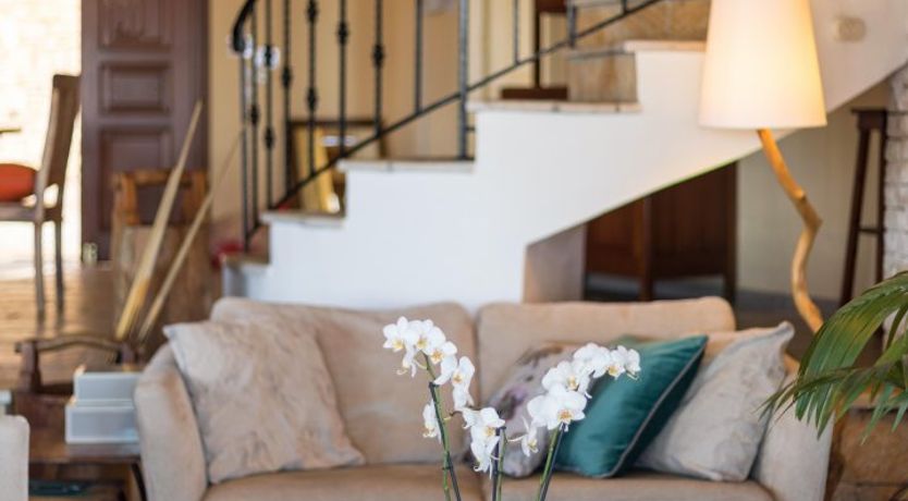 Photo of Sanctuary in the Sun