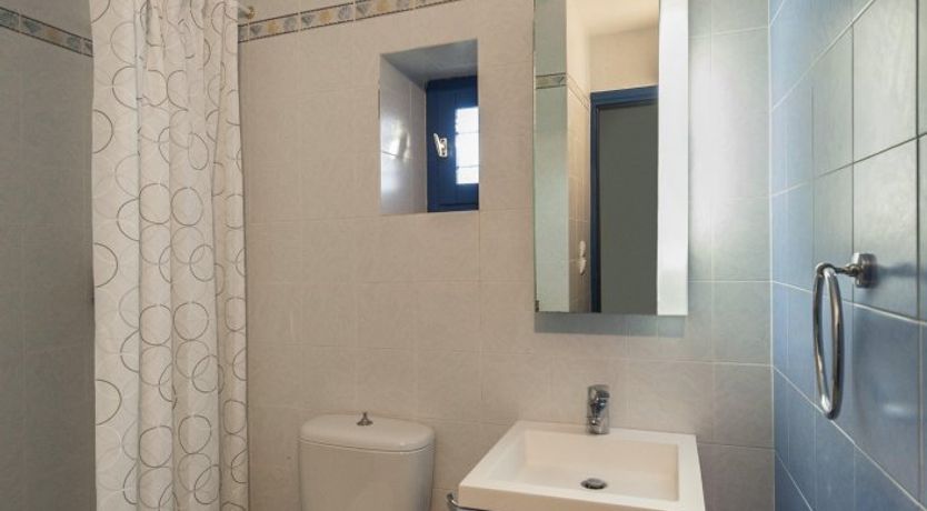 Photo of Greek Peony