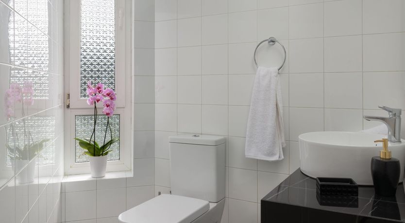 Photo of Attention Seeker