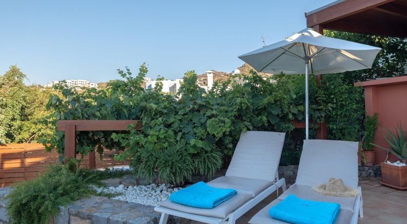 Photo of Ampitheatrical